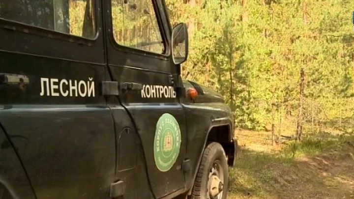 Предприниматель из Дзержинска обвиняется в контрабанде леса на сумму 3 млн рублей