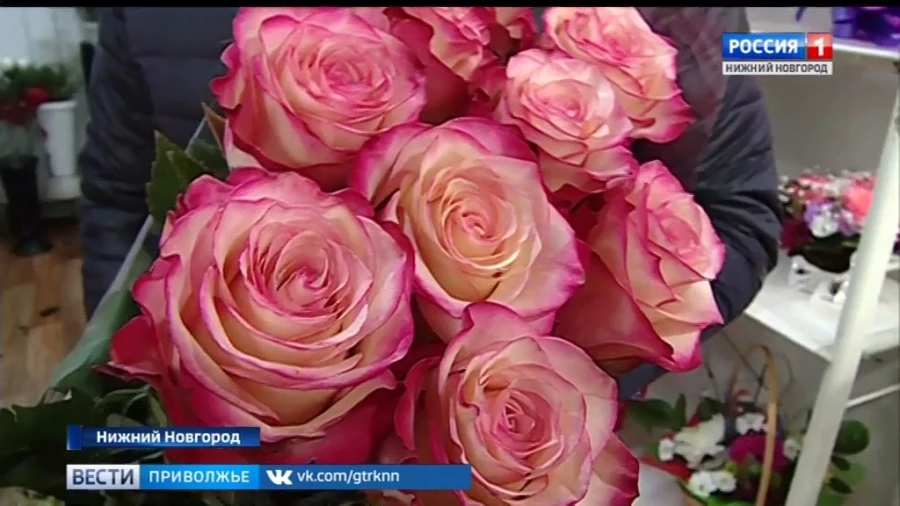 Экологи рассказали о розах Ботанического сада ННГУ