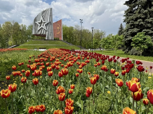 �������� � ������ ��������� ������ �������� � �������-������� ������