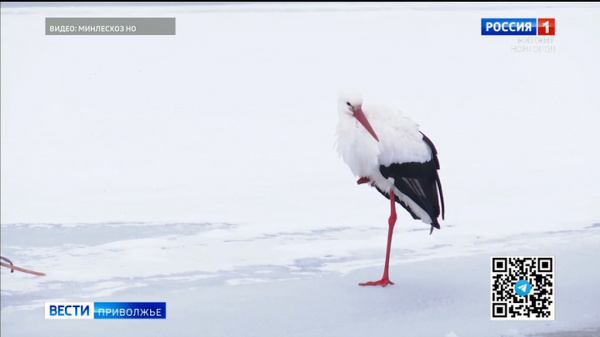 � ��������� ���������� ���������� ��� ������� ��������, ���� ���� �� �������� �������� �����