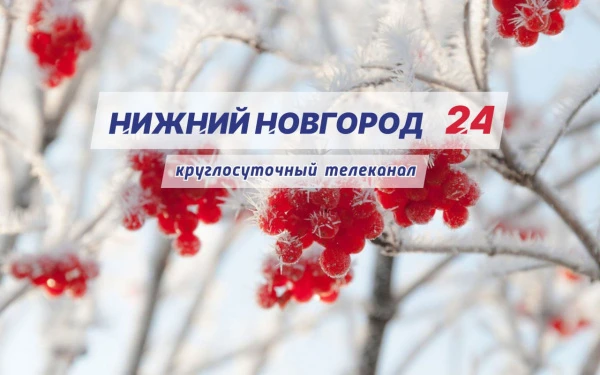 ��������� ������� ���������� ������� �������� 24� �� 9 ������