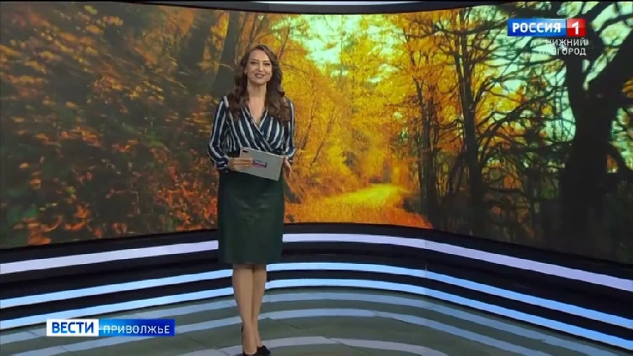  .      (20 - 26  2025 )