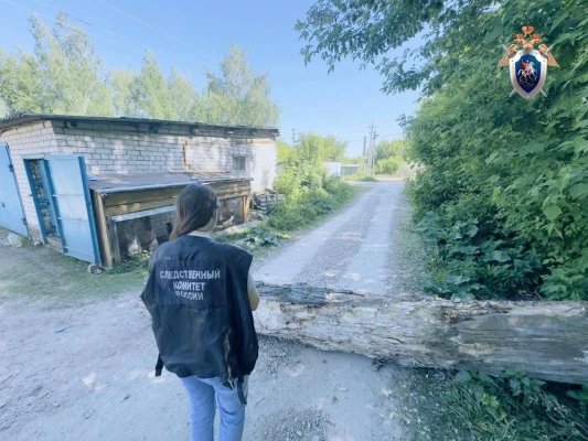 В Перевозе упавшее дерево убило мужчину