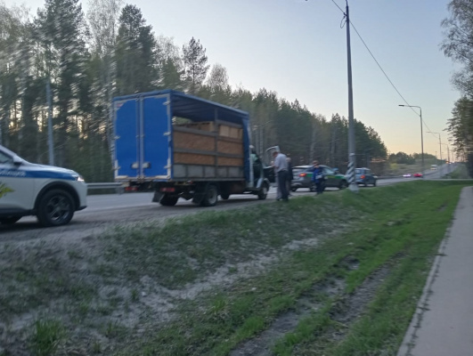 Пчел-нелегалов задержали в Нижегородской области