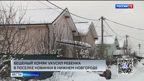 ������� ����� ������ ������� � ��������