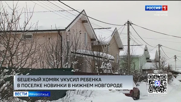 ������� ����� ������ ������� � ��������