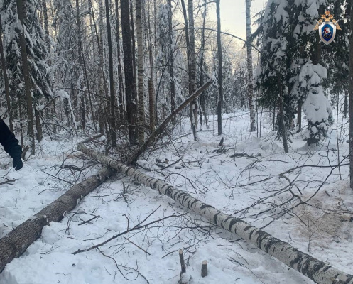 ������� ���� ����� � ����������� ������