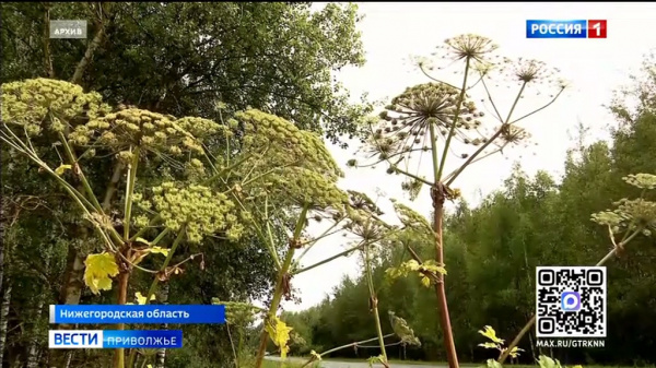 ������ � ���������� ������������ � ������������� �������