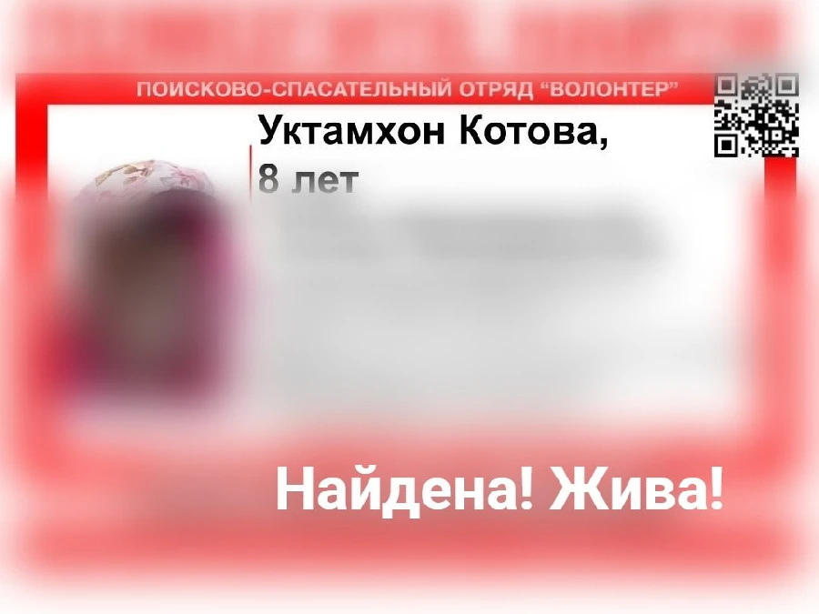 Поиски пропавшей 8-летней девочки завершены в Нижегородской области