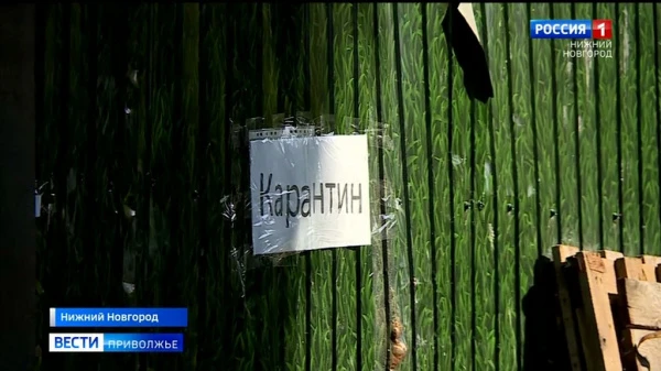 Очаг опасного листериоза выявили в Ленинском районе Нижнего Новгорода
