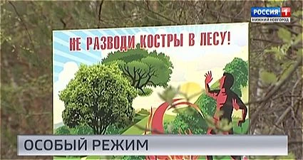 МЧС предупреждает о высокой пожароопасности лесов в Нижегородской области 