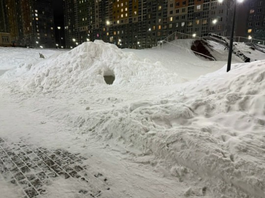 �������� ��������� �������� �������� ���� ������������: � ����������� ���� ���� ���� ���� � �������� ������� �����