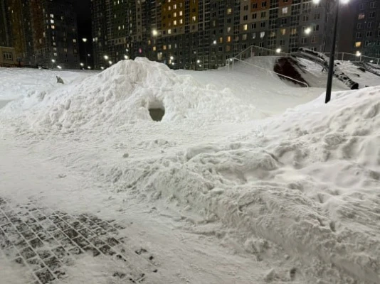 �������� ��������� �������� �������� ���� ������������: � ����������� ���� ���� ���� ���� � �������� ������� �����