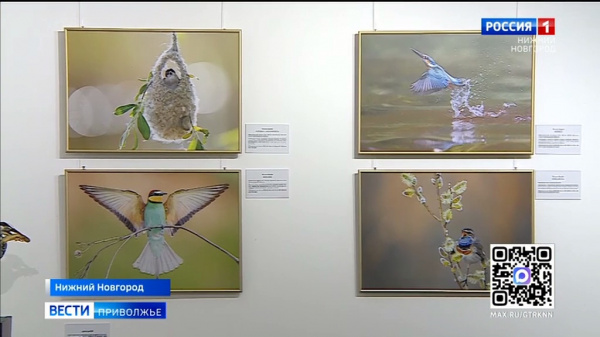 "������ ����" - ��� ����� ��������� ��������� �������� � ������� ����� ����������