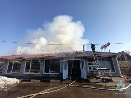 ���� ���������� � ���������������������� ������ 