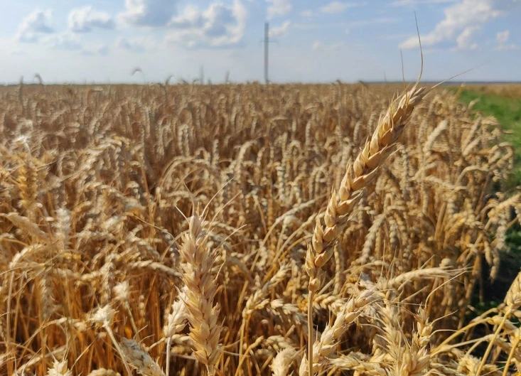 Нижегородские фермеры получат гранты на развитие агротуризма