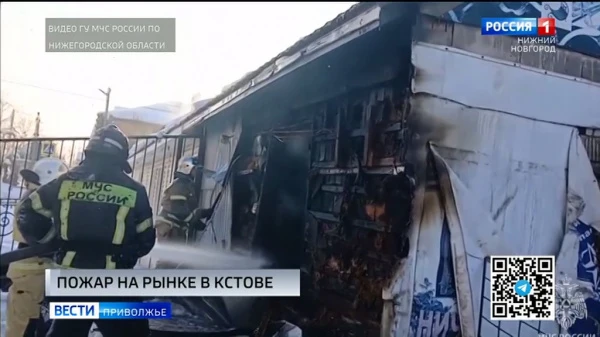 � ������ ������������� ����� �� ������� 120 ���������� ������ 