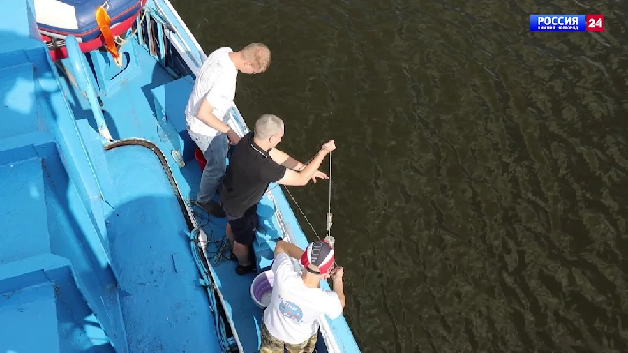 Pro: ,           ,    - 