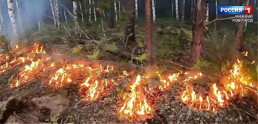 На территории Вачского и Павловского районов установлен 4 класс пожароопасности