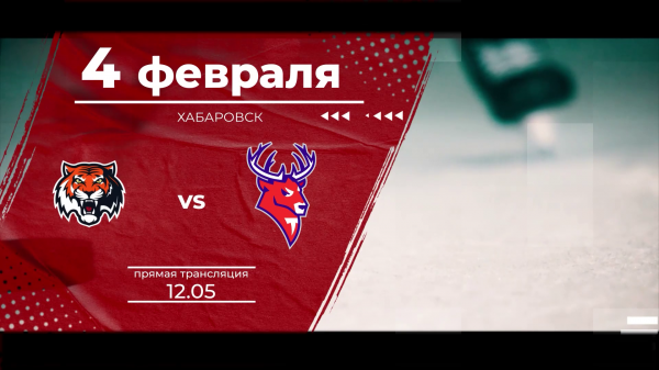 ���� ��� "����" - "�������": ������� �� ����� �� ���������� "������ �������� 24" � �� ����� "����"