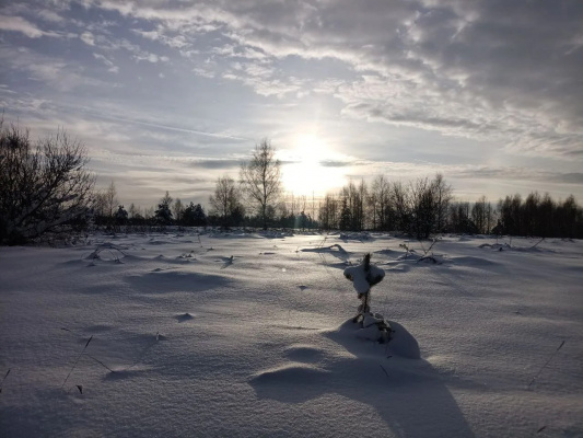 ������� ������� ��� ��������� ������ �����: ����� �� ��������, ������� � ������� ������� �� 28 �������