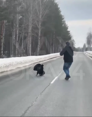 ������� ���������