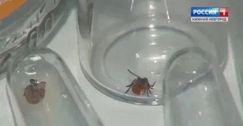  ������ ������� � ������������� ������� ��������� �� ����� ����� 