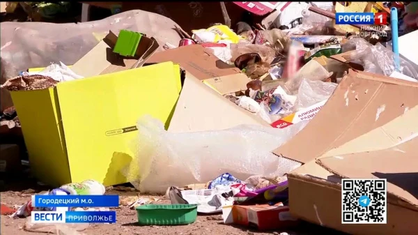 Отдых в мусорном баке: в поселке Буревестник жители задыхаются от свалок