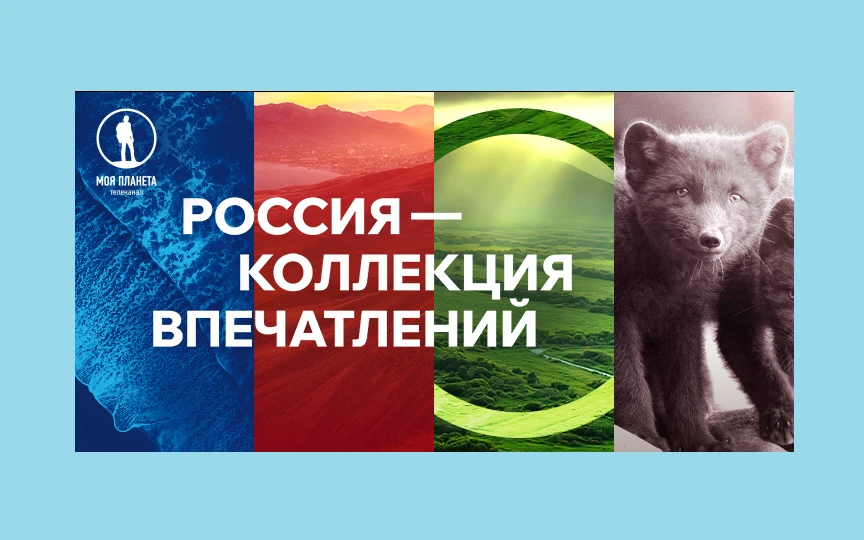 В Нижнем Новгороде 5 августа откроется фотовыставка телеканала «Моя Планета»
