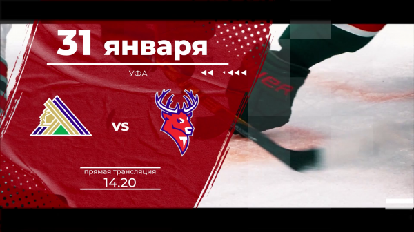 ���� ��� "������� �����" - "�������": ������� �� ����� �� ���������� "������ �������� 24" � �� ����� "����"