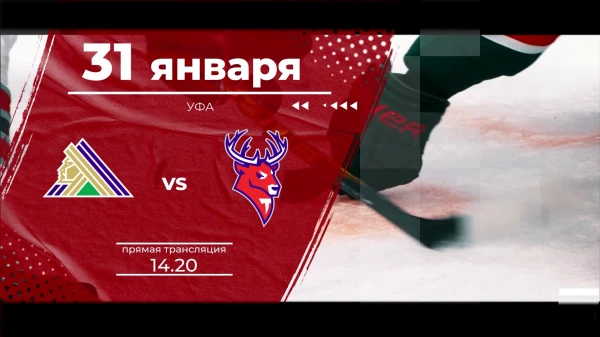 ���� ��� "������� �����" - "�������": ������� �� ����� �� ���������� "������ �������� 24" � �� ����� "����"