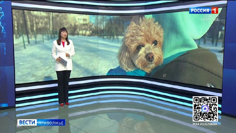 ������� �����. ����� ������ � ����� �������� (16-22 ����� 2026 �)