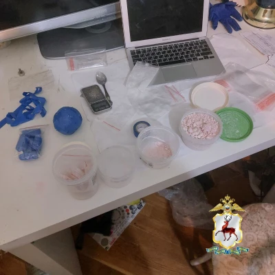 Около 2,5 кг наркотических веществ изъяли полицейские в Нижнем Новгороде