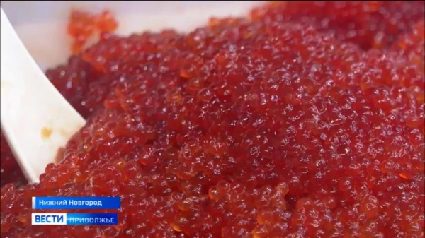 �� ����� ����� �������� ����� � ����: ������� �������� ����������� ��������� ��������� ������� �����