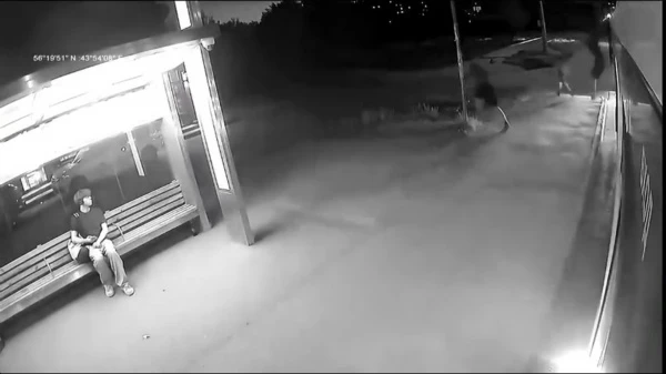 ���������� �������� ��������� ������������ ��������� � ������ ���������