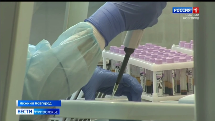 В 23 районах Нижегородской области за сутки не выявлено новых случаев заражения коронавирусом