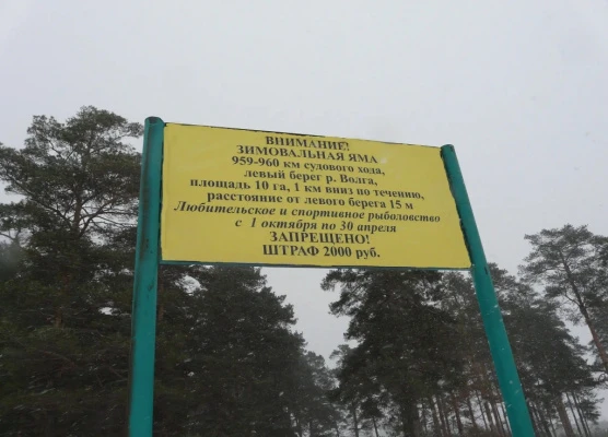 ������� �� ����������� ���� � ������������� ������� ��������� �� ����� ������