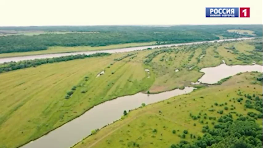 "��� � �������. �� ��������� �����������". ��� ������ � ������ ���������? 