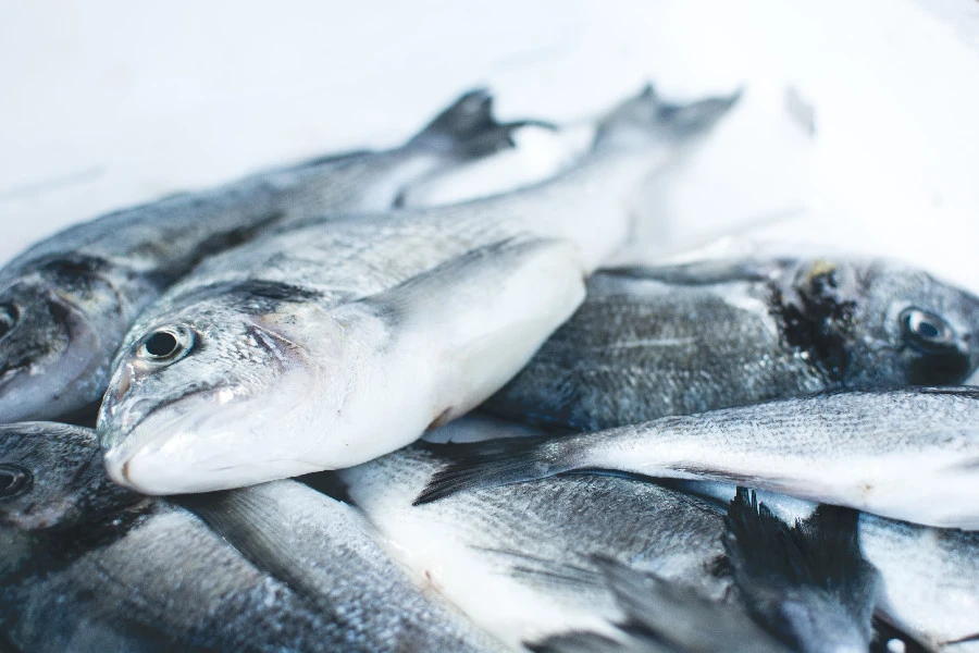 Около 2 тысяч особей рыб спасено в нерестовый период в Нижегородской области 