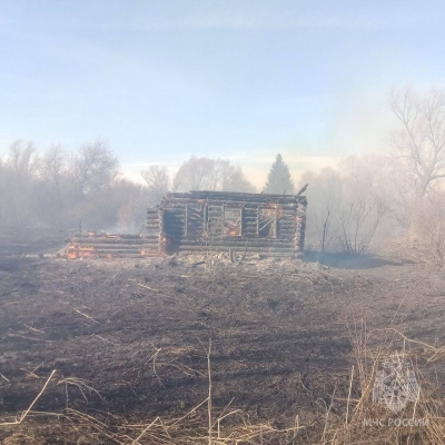 Более 200 возгораний сухой травы произошло в Нижегородской области с начала весны