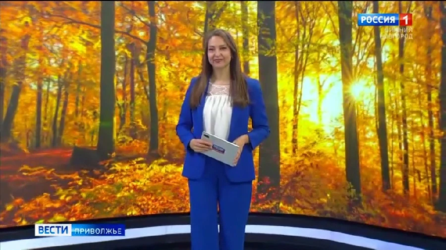 ������� �����. ����� ������ � �������� �������� (19 - 25 ������� 2026 �)
