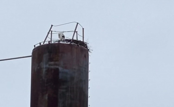 ���� �� �������� ����� ������� �� ������� � ������������� �������