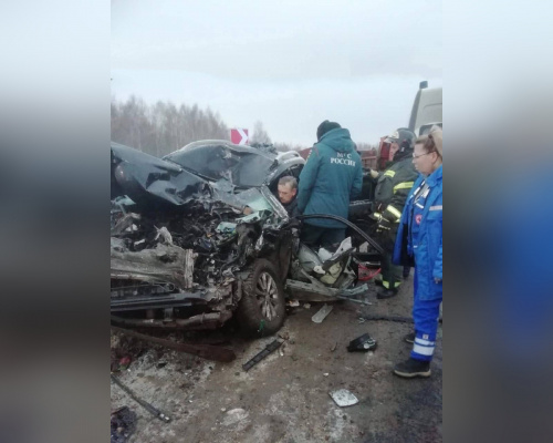 Смертельное ДТП произошло в Богородском районе