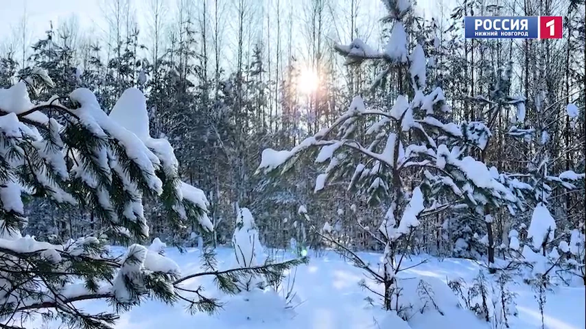 ��� ���������� � ����, ����� �� ������� ������? 