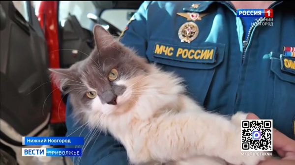 ��������� ������: ������� � ���, ��� ������� � ������ ������ ������ �� ����������� 