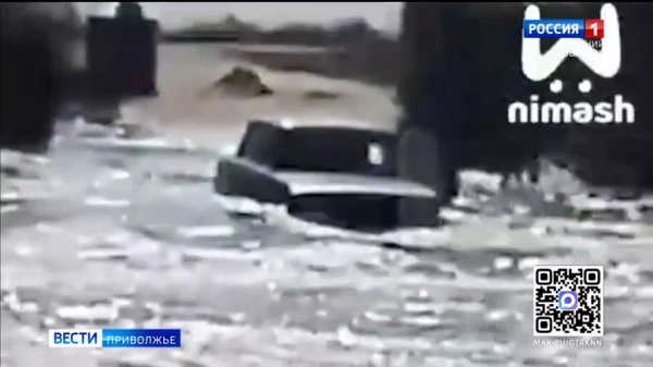 15 ������������� �����, 14 ������ � ����� ������ ������������ �������� �������� ������������ ��-�� �������