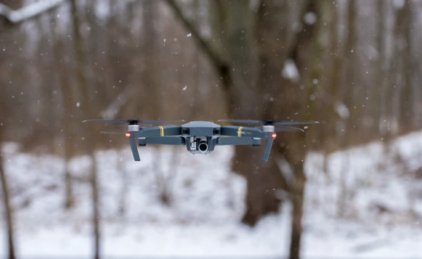 ����� 500 ������������ ������� ������������� � ����� ����������� ����������� ������� � 2025 ���� 