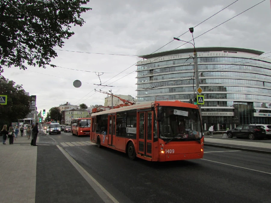 Председателю СК Александру Бастрыкину доложат о проверке по ликвидации троллейбусной сети