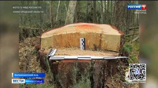 � ������������ ������ �������� �������� ��������� ������� ���