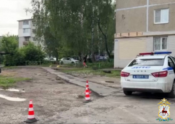 Полицейские нашли водителя, сбившего пожилую женщину в Богородке